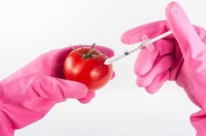 Modification génétique des aliments